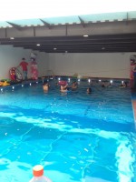 /album/pi%c3%b1atas-en-la-alberca/pinata-1-jpg/